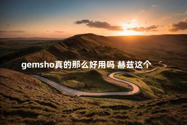 gemsho真的那么好用吗 赫兹这个软件上的人靠谱吗